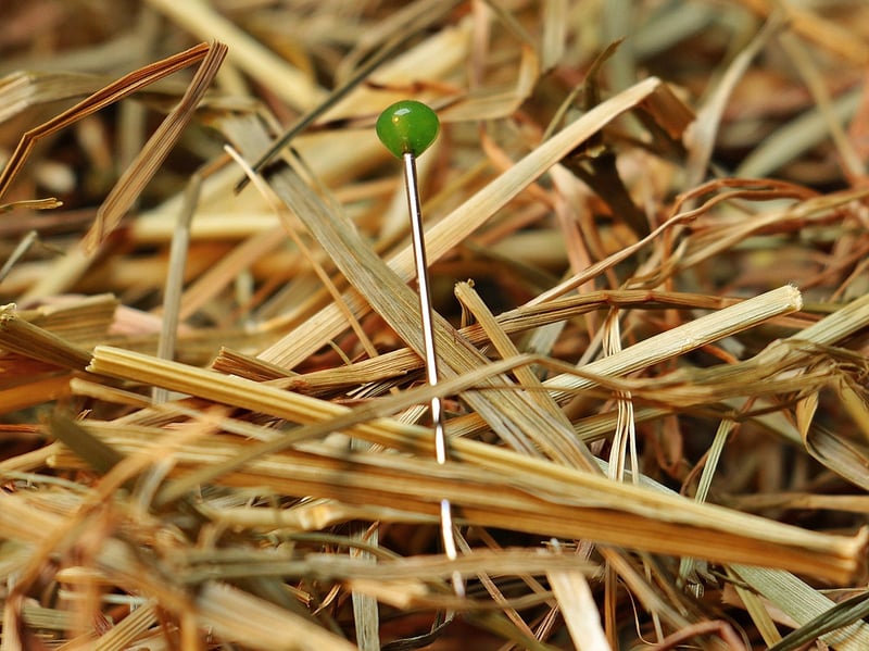 Foliage Finds